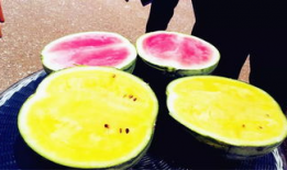 坎贝奇吃瓜爆料,揭秘娱乐圈背后的惊人真相